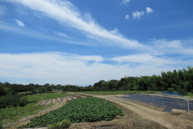 北海道IMG_0061 (640x427)