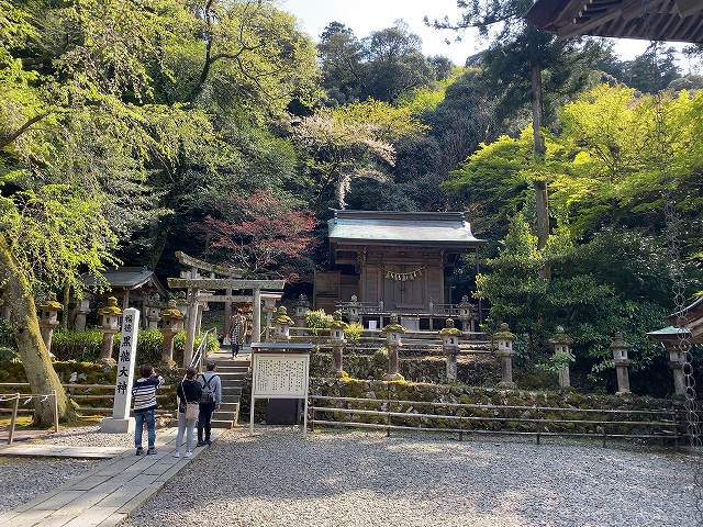 伊奈波神社(黒龍神社)　全景