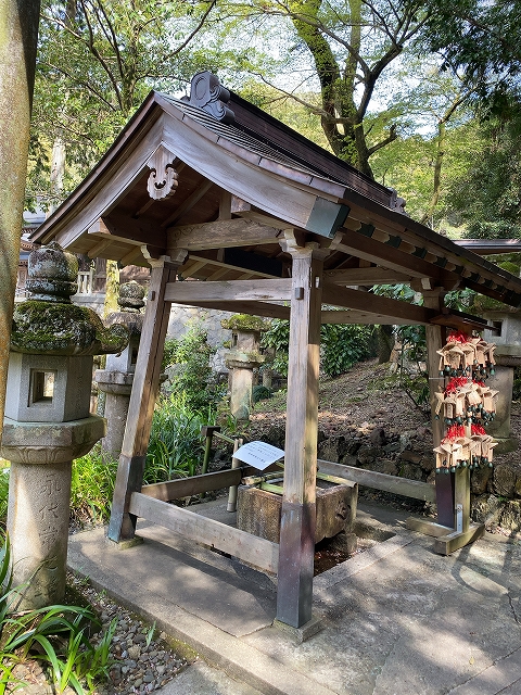 伊奈波神社(黒龍神社)　手水舎