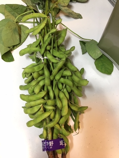 枝付きの枝豆