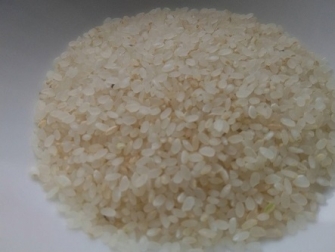 ５分づきの特別栽培米のあきたこまち