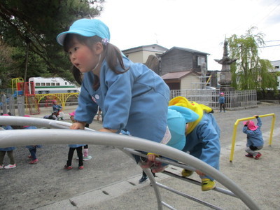 IMG_7151.jpg