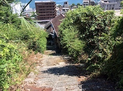 IMG_0913.jpeg
