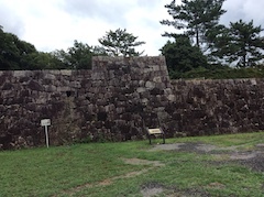 IMG_1038.jpeg