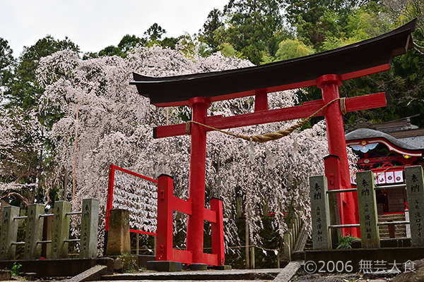 小川諏訪神社