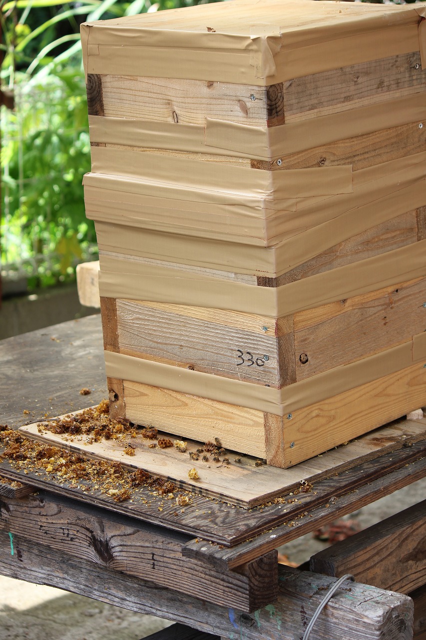 日本ミツバチ重箱式巣箱