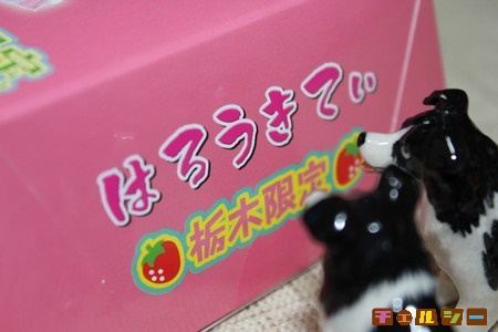 ご当地キティチロル_栃木限定