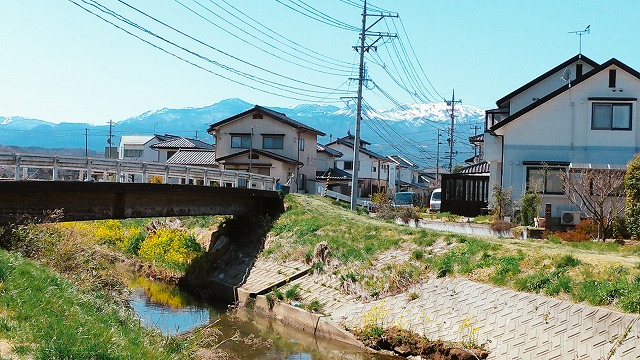2004sakura005.jpg