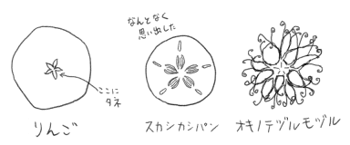 五角形 オキノテヅルモヅル スカシカシパン