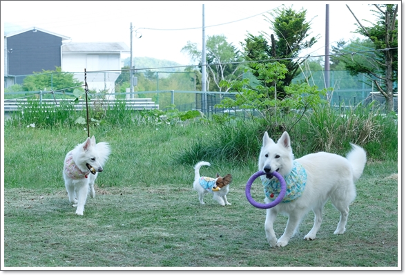 05-23blog08.jpg