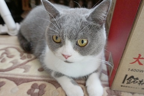 DSC07911 (1)