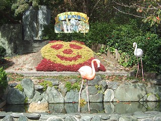 神戸市立王子動物園：パンダ柄の植え込み