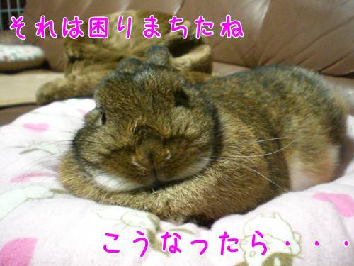 20040701.jpg
